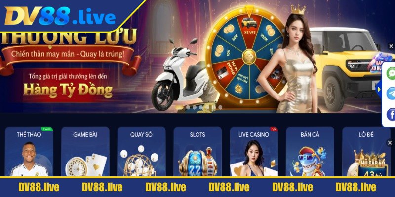 Giới thiệu tổng quan về DV88