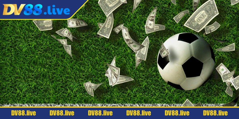 Kèo Châu Âu DV88 – Cách Hiểu, Soi Và Chơi Hiệu Quả 3 Làm cách nào để đọc kèo châu Âu