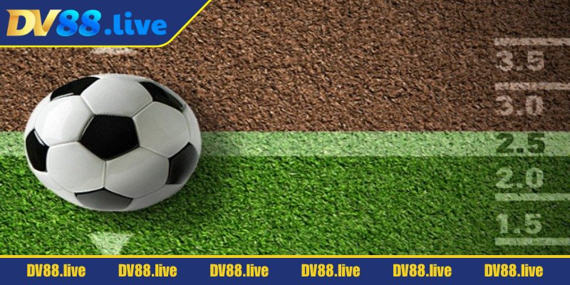 Kèo Tài Xỉu DV88 – Cách Cược Đơn Giản, Ăn Tiền Dễ Dàng 2 Theo dõi sát sao mọi dữ liệu hai đội trước trận