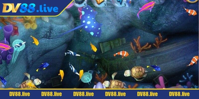 Quan sát chu kỳ xuất hiện cá boss