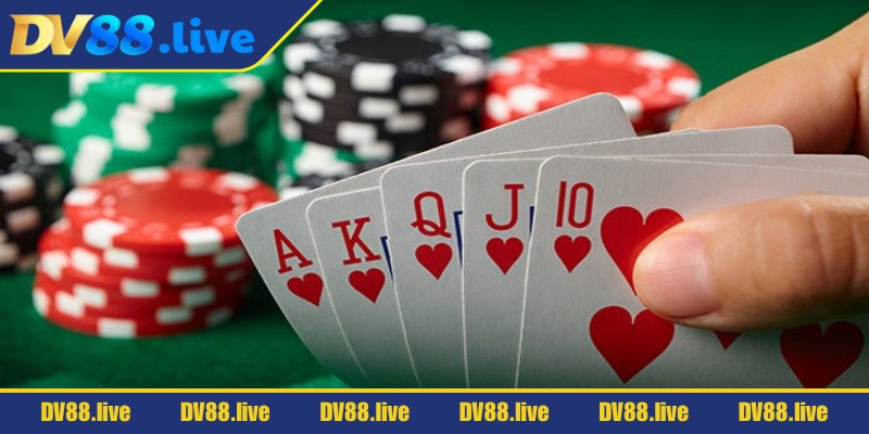 Thông tin cơ bản về xì dách DV88